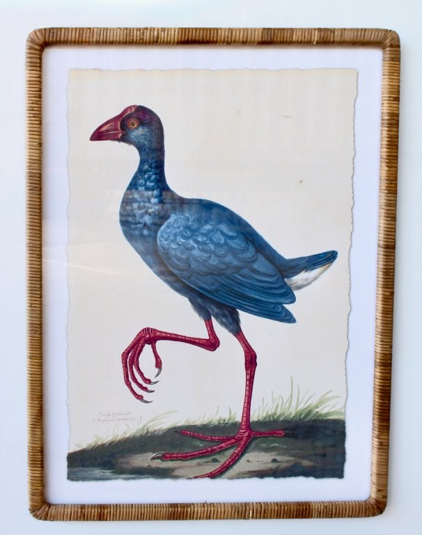 BLUE BIRD PICTURE CANE FRAME  80X60CM